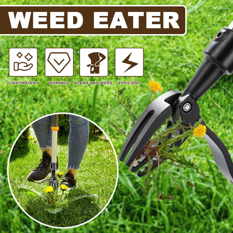 🌿Unkraut mit der Wurzel ausreißen, ohne sich dabei bücken zu müssen! 🎯